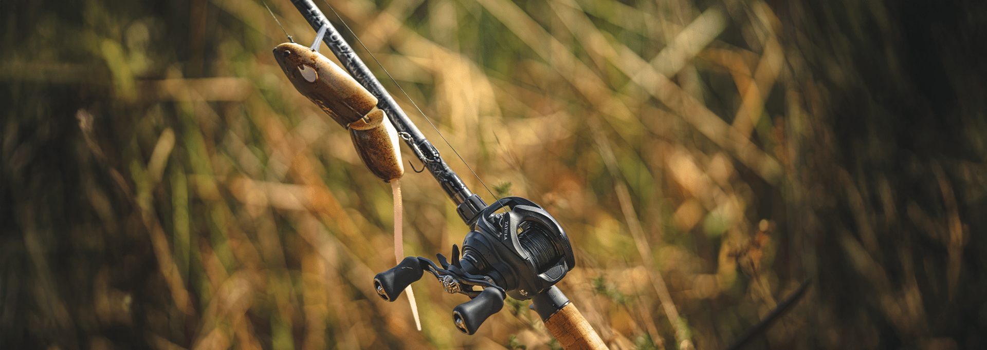 2025 Daiwa Tatula 200 - Hamilton Bait and Tackle