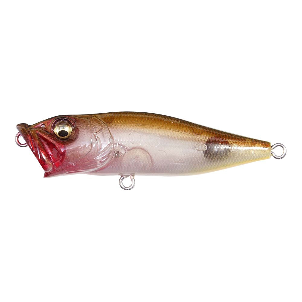 Megabass PopX Japan Limited Color's