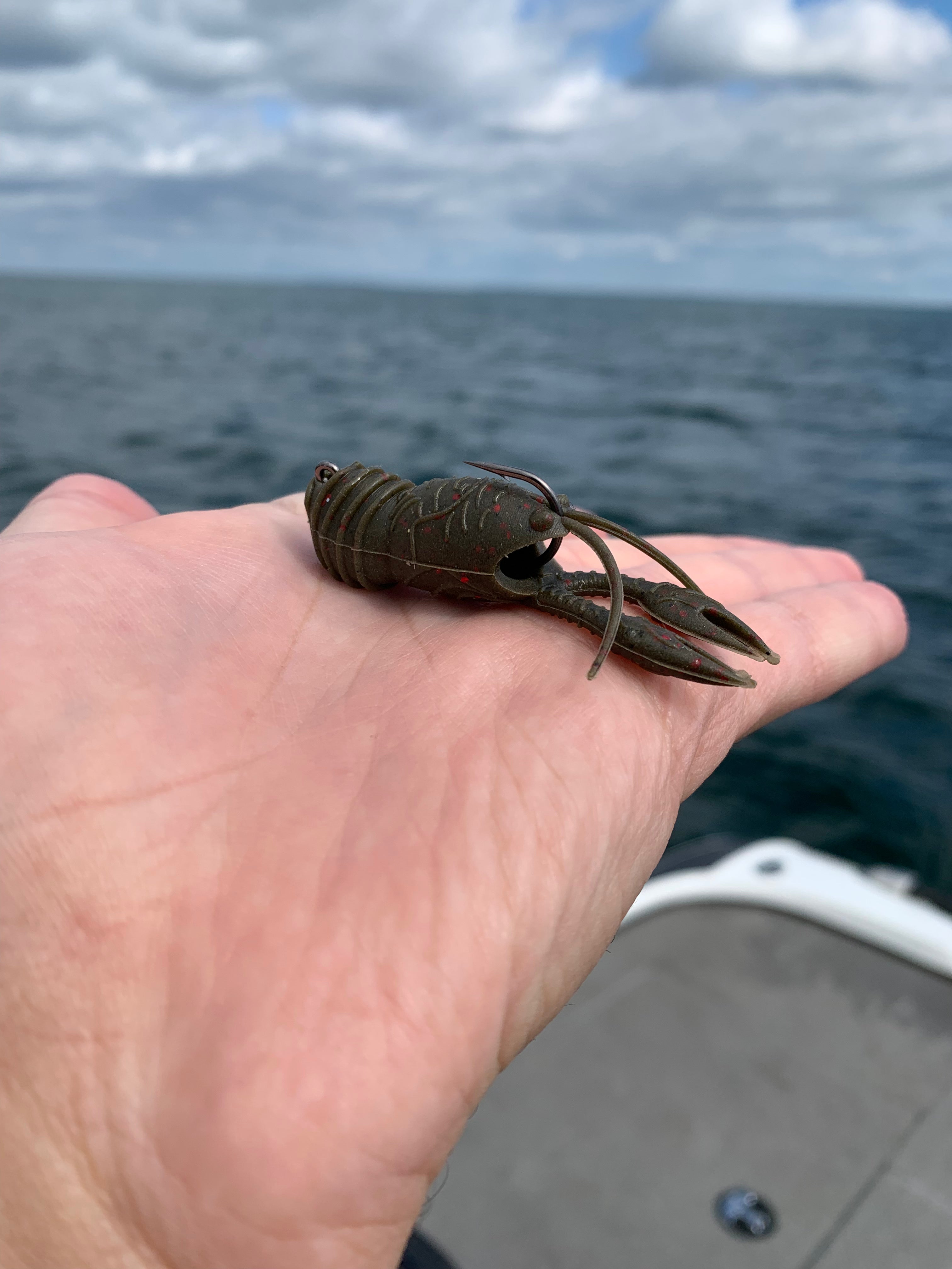 Great Lakes Finesse 2.5" Juvy Craw