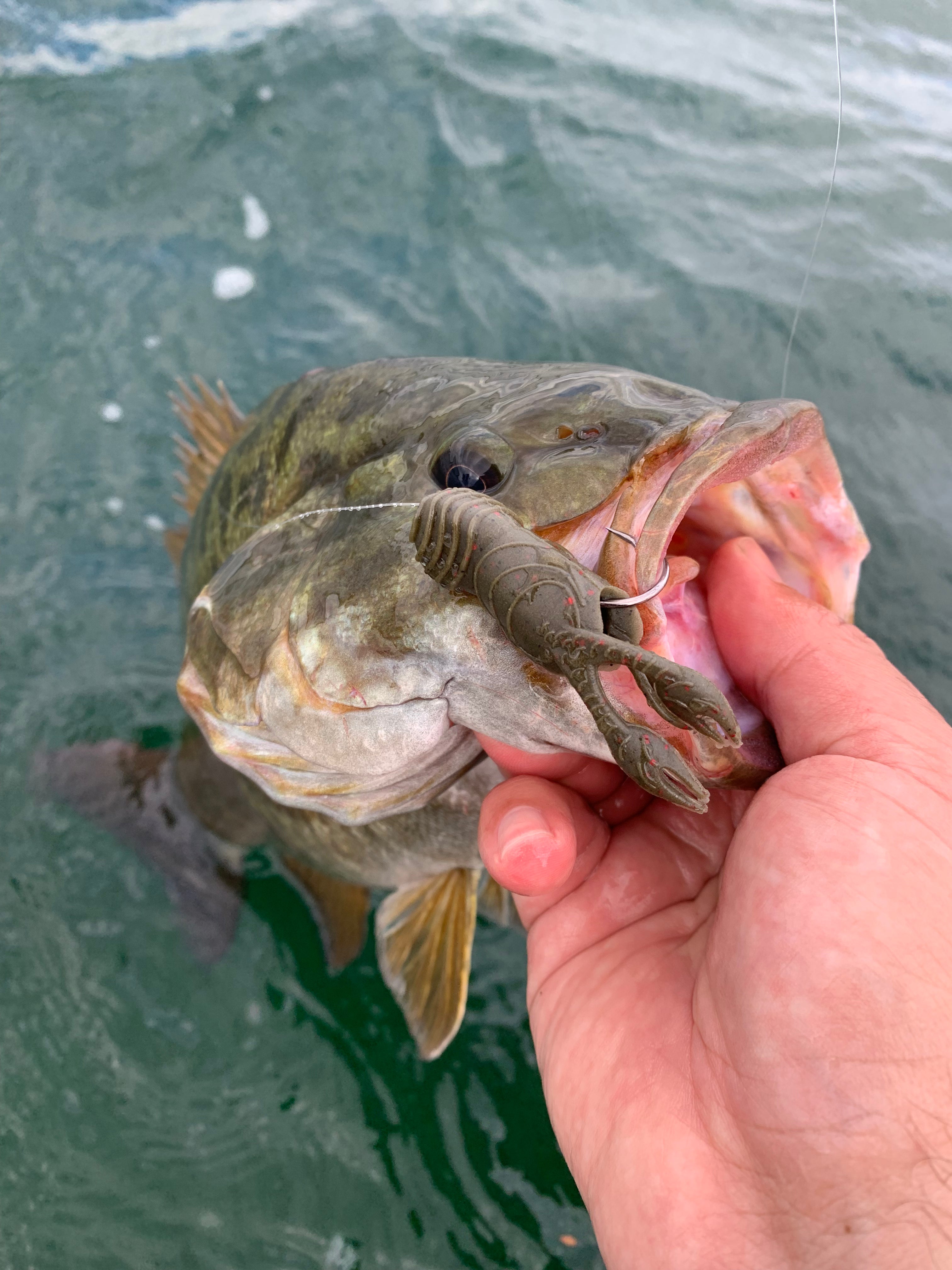 Great Lakes Finesse 2.5" Juvy Craw