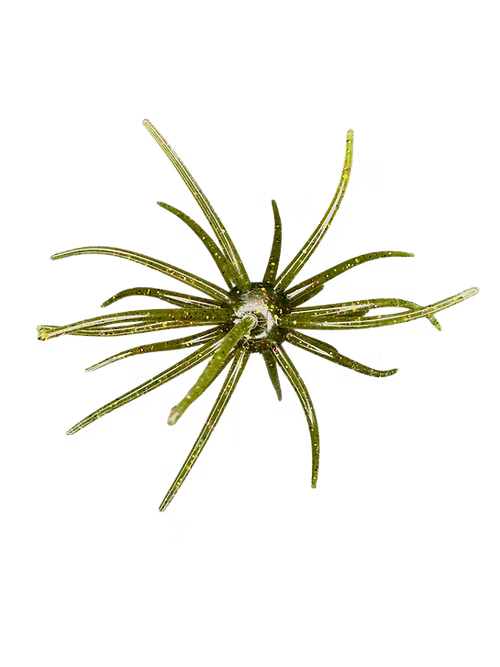 Hag's Prickly Pear 19mm Creature Bait