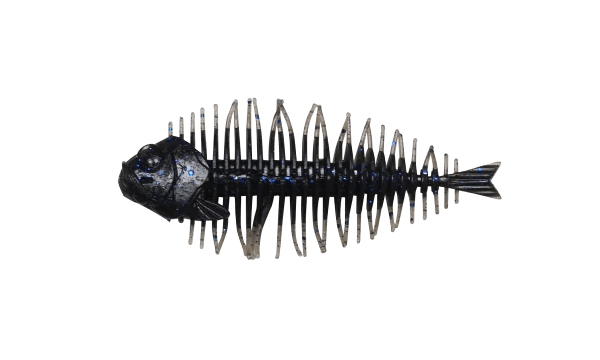 D - Style Geelacanth - Hamilton Bait and Tackle