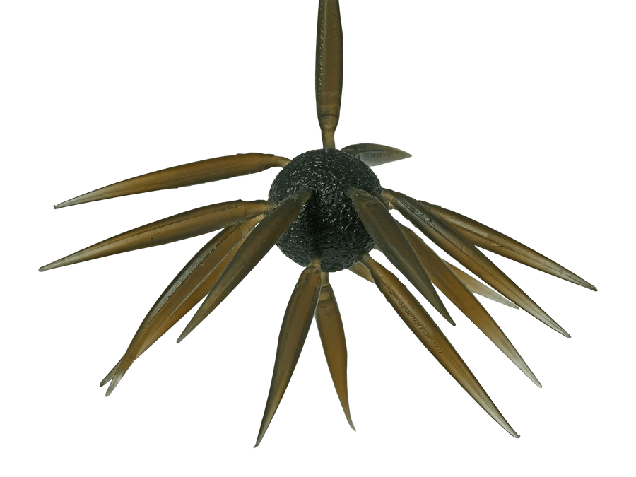 HideUp Coike Fish Elastomer L - Hamilton Bait and Tackle