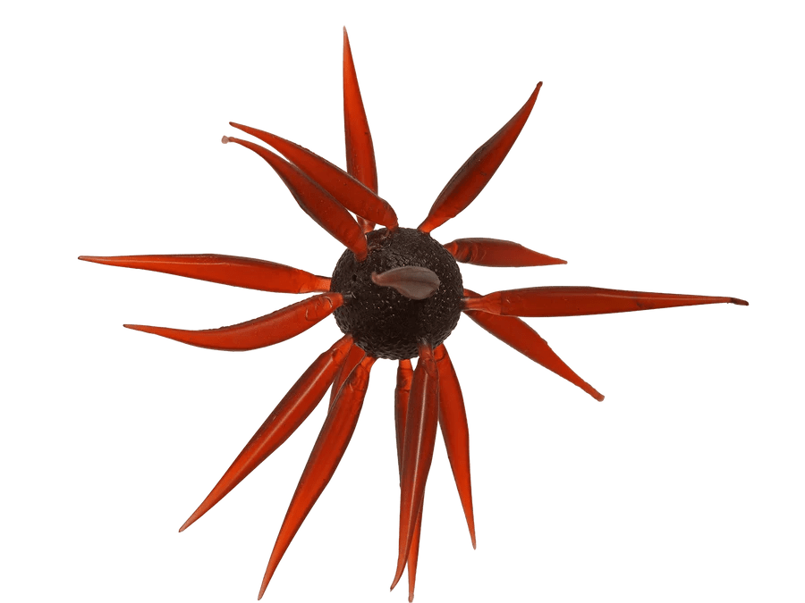 HideUp Coike Fish Elastomer L - Hamilton Bait and Tackle