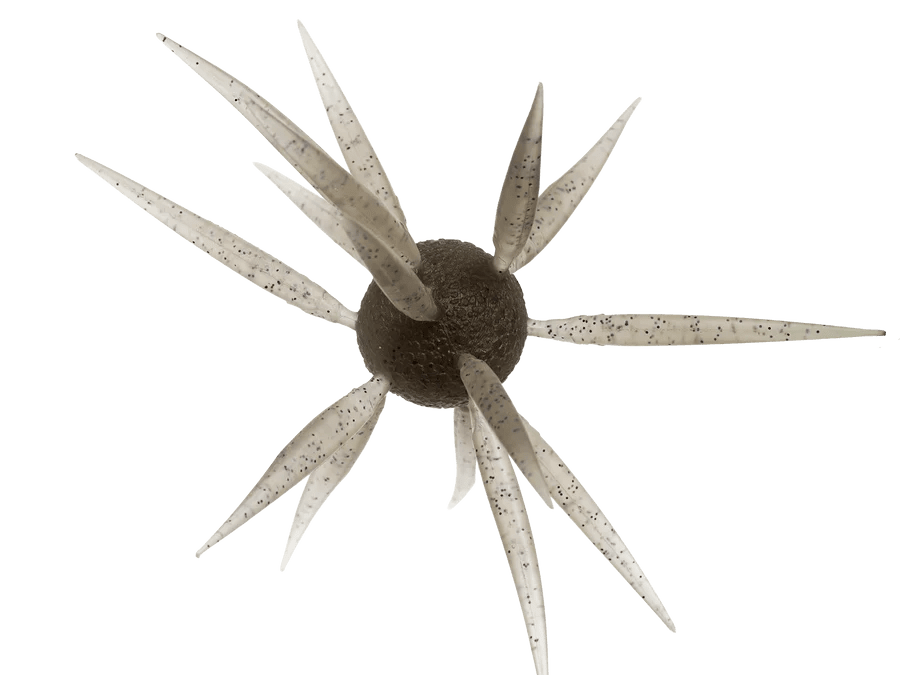 HideUp Coike Fish Elastomer L - Hamilton Bait and Tackle