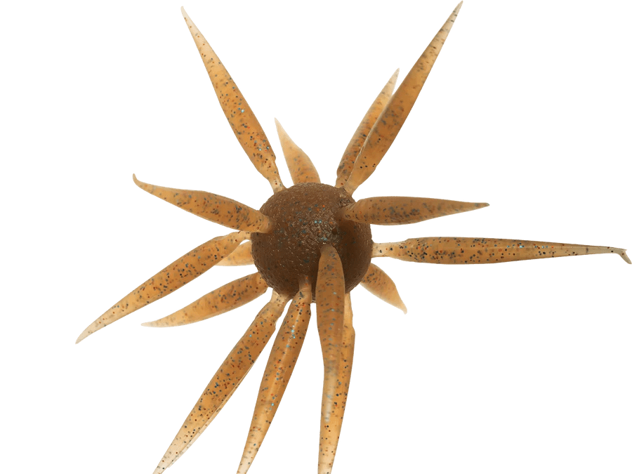 HideUp Coike Fish Elastomer L - Hamilton Bait and Tackle