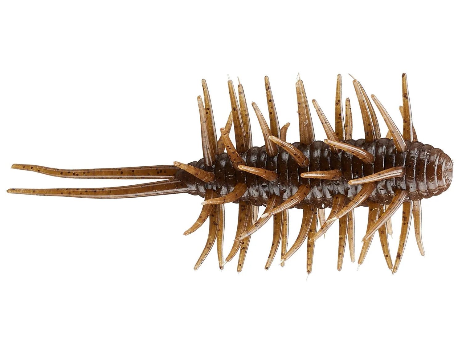 HideUp Coike Shrimp - Hamilton Bait and Tackle