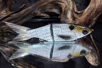 KGB 5" Resin ChadShad - Hamilton Bait and Tackle