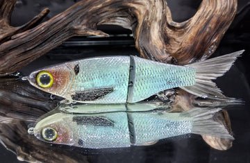 KGB 5" Resin ChadShad - Hamilton Bait and Tackle