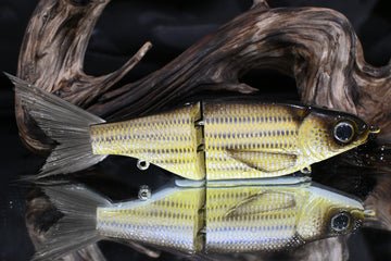 KGB Swimbaits Chad Shad's - Hamilton Bait and Tackle