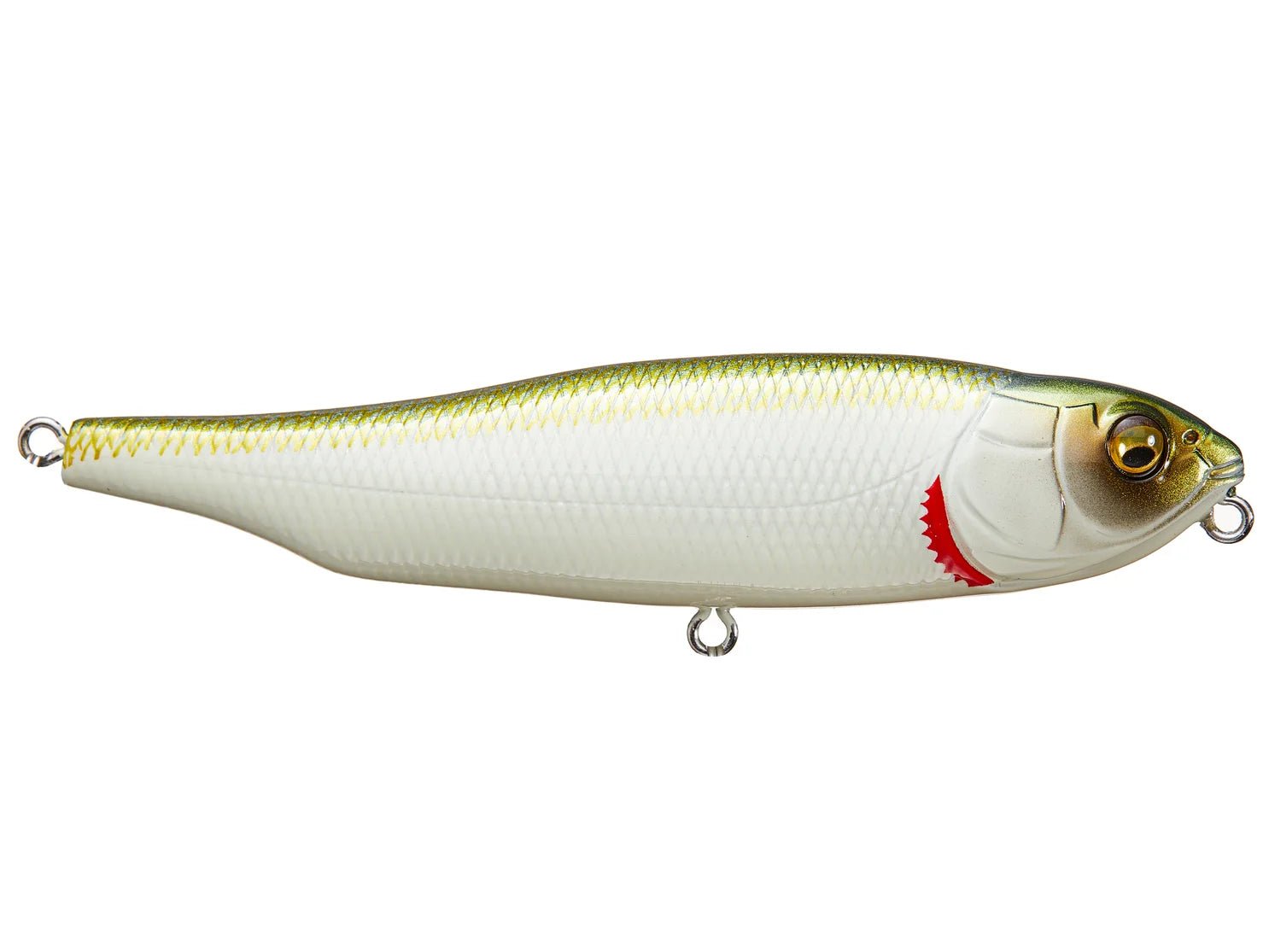 Megabass Giant Dog - X - Hamilton Bait and Tackle