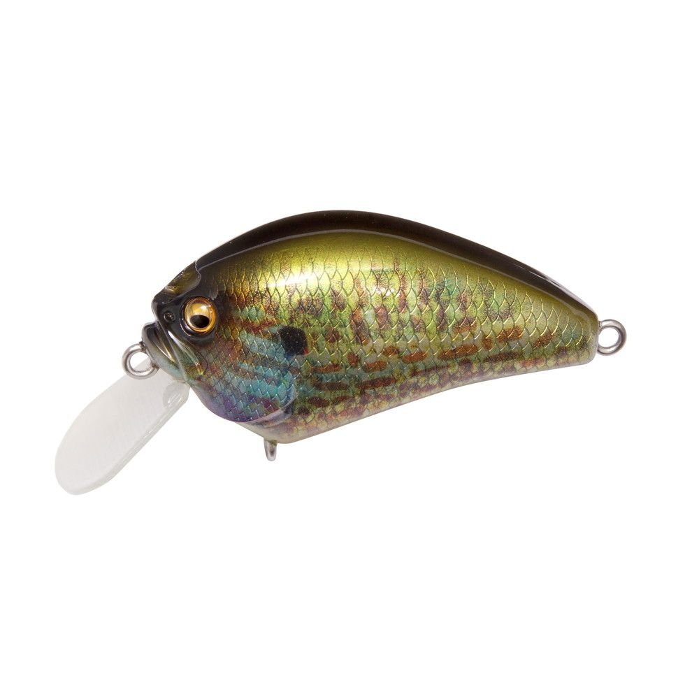 Megabass IXI Blowly Crankbait - Hamilton Bait and Tackle