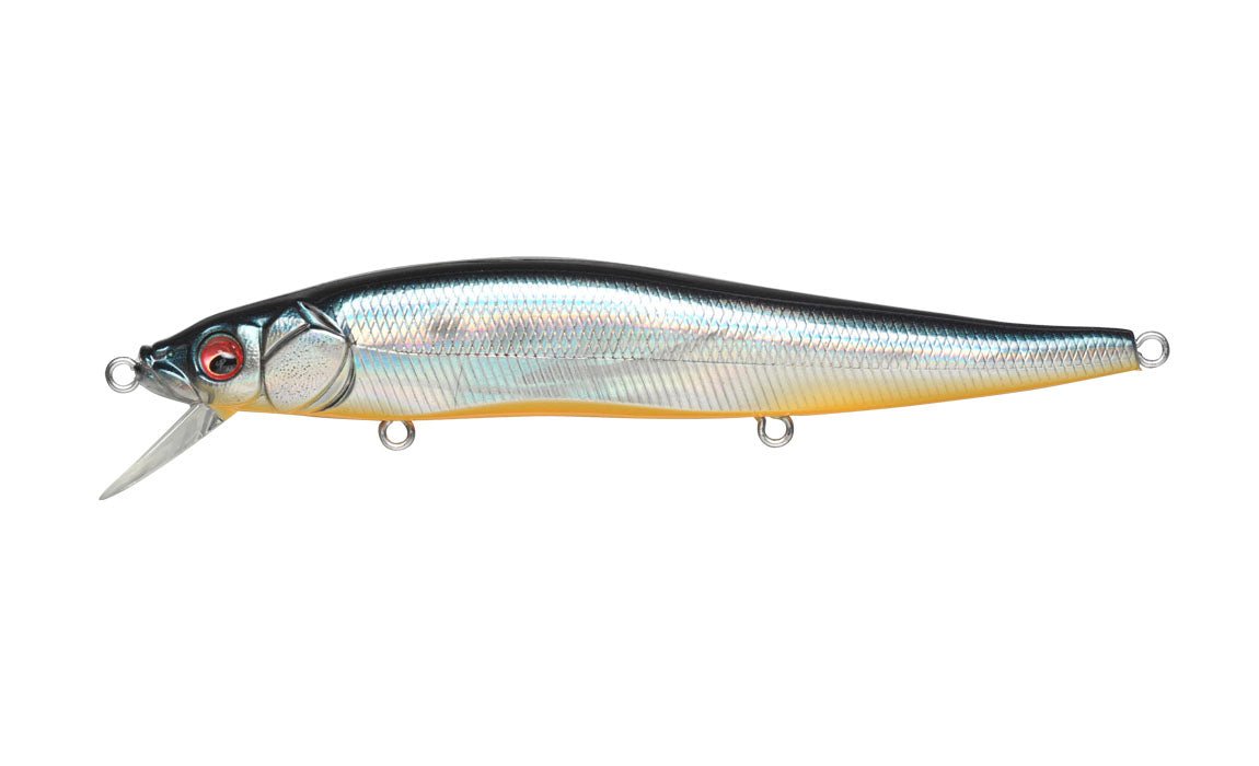 Megabass Vision OneTen - Hamilton Bait and Tackle