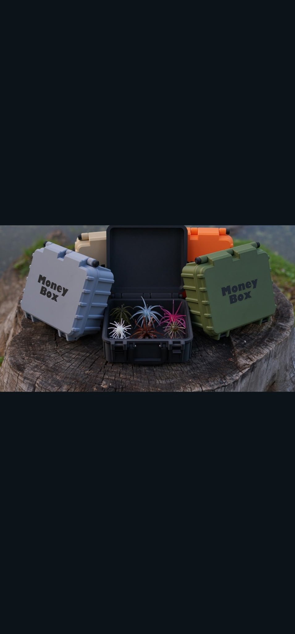 Money Box Urchin Style Bait Storage - Hamilton Bait and Tackle