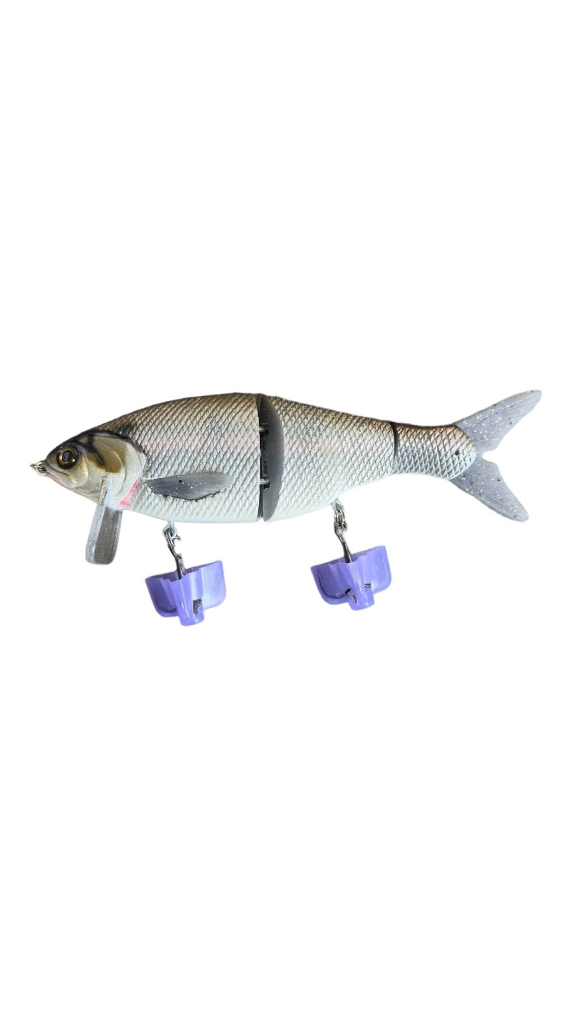 Phoney Frogs Wake - N - Crank Shiner - Hamilton Bait and Tackle