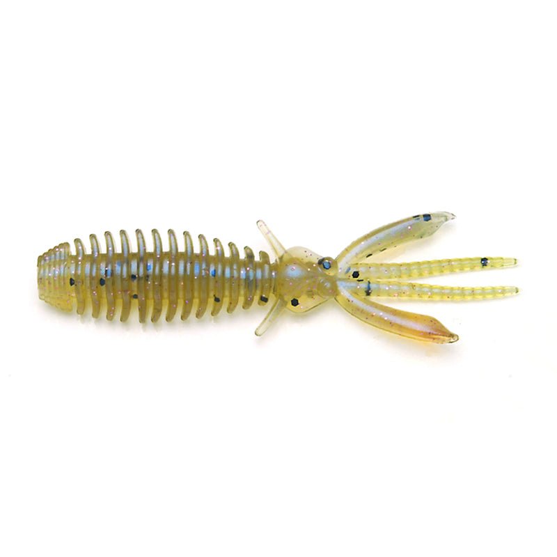 Raid Japan Egu Bug - Hamilton Bait and Tackle