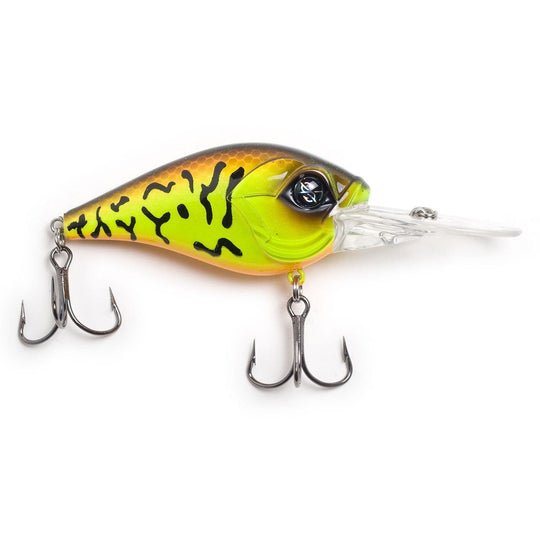 Googan Squad Recon - Hamilton Bait and Tackle