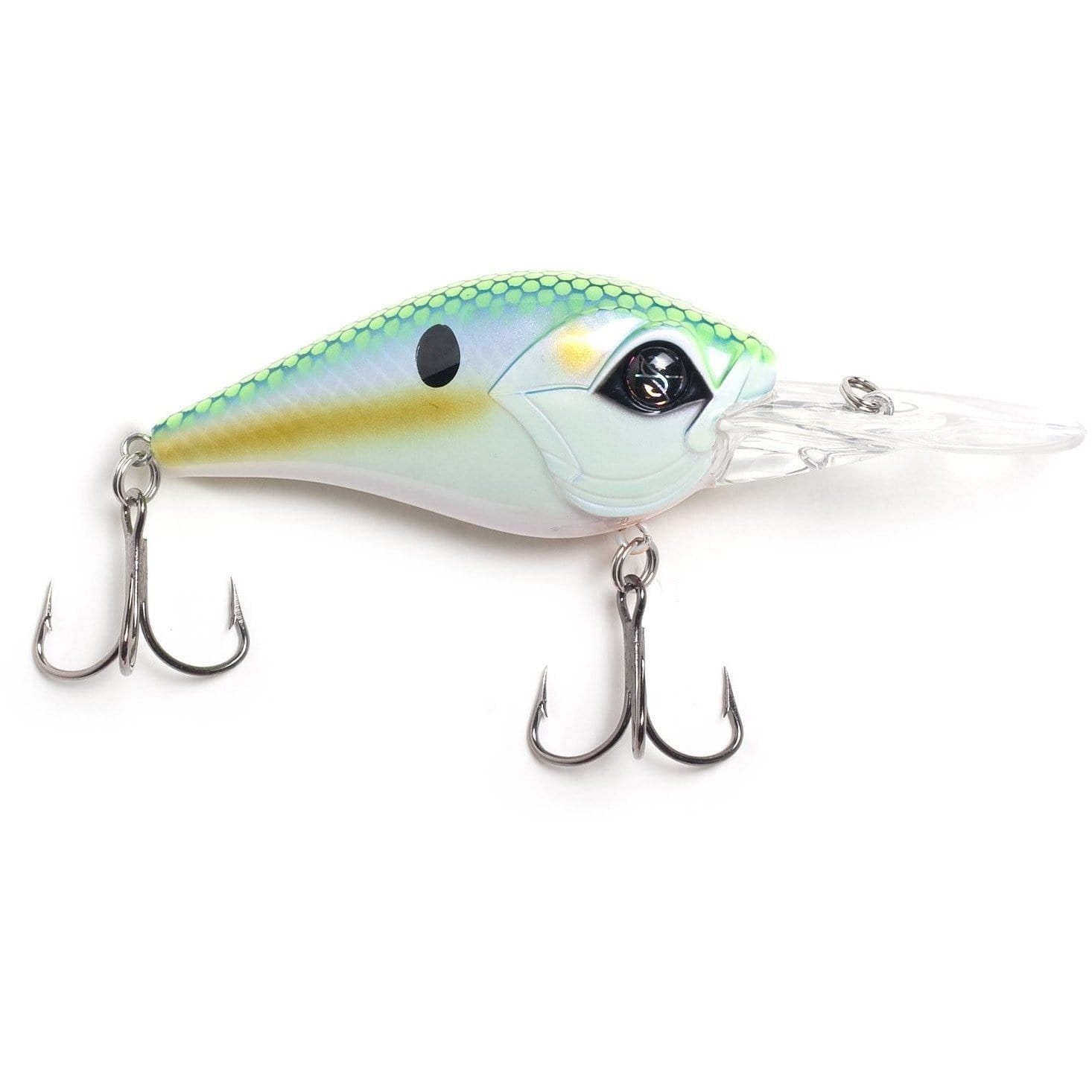Googan Squad Recon - Hamilton Bait and Tackle