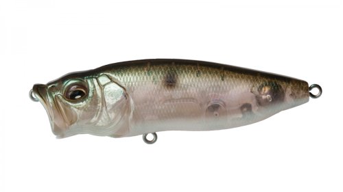 Megabass PopMax - Hamilton Bait and Tackle