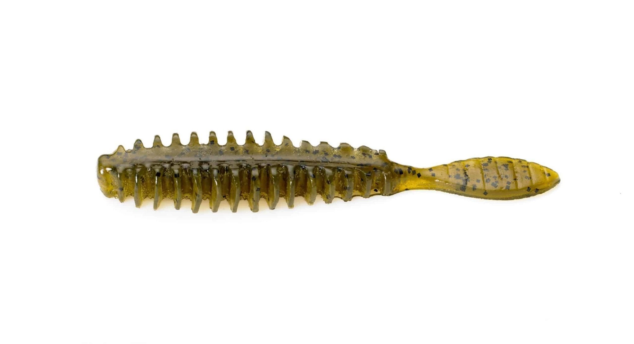 Poor Boy Baits Erie Darter Jr. Chillin