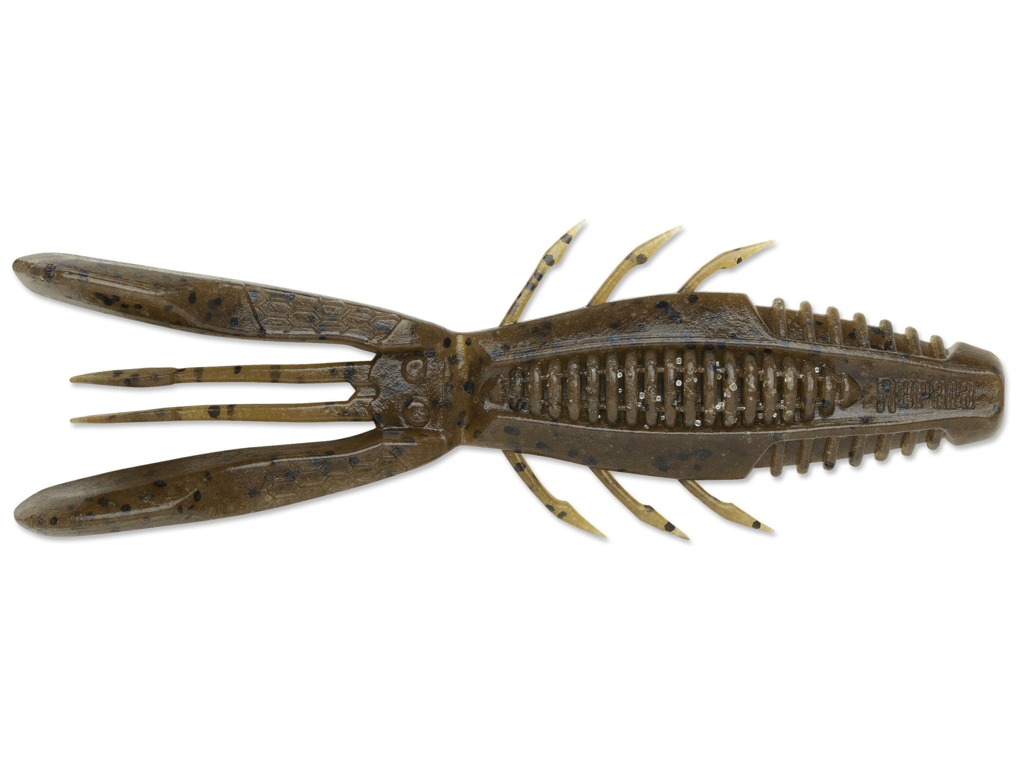 Rapala CrushCity Bronco Bug - Hamilton Bait and Tackle