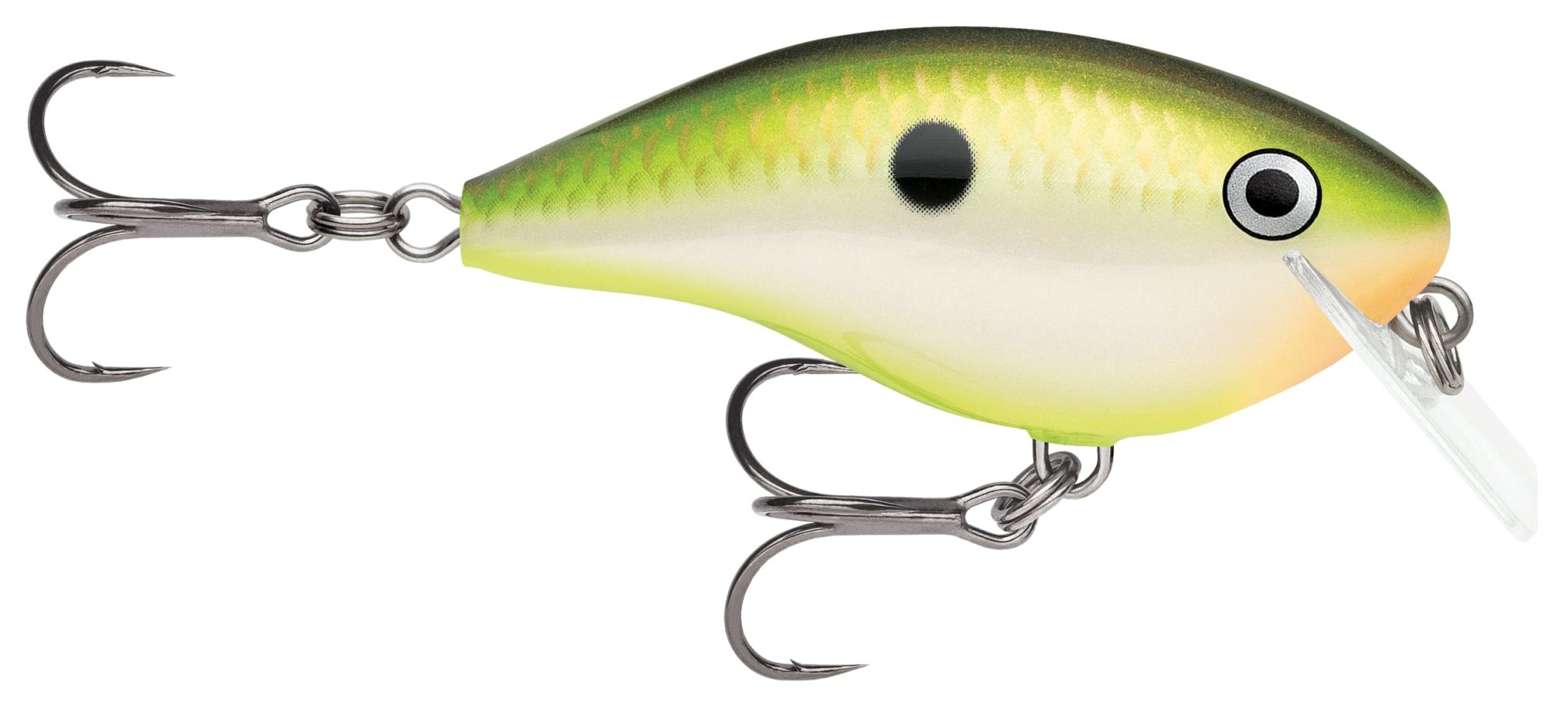 Rapala Ott's Garage OG Rocco 5 Crankbait - Hamilton Bait and Tackle