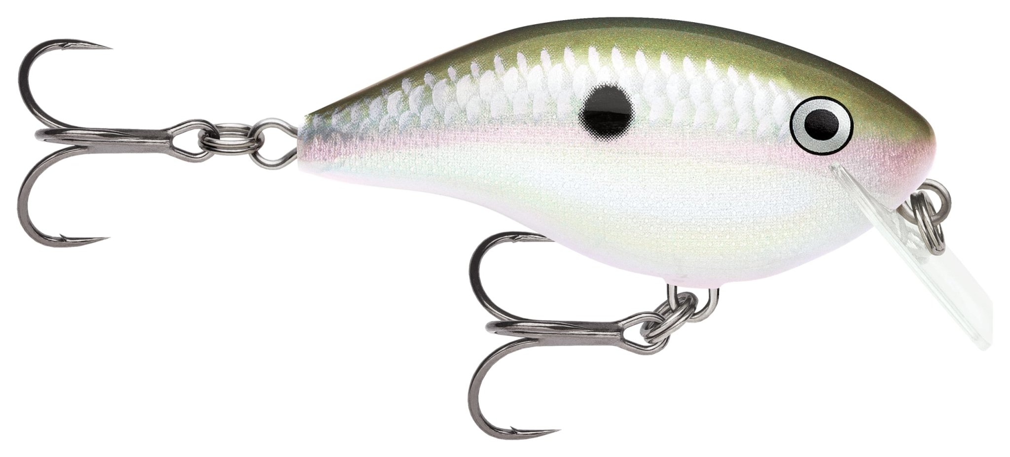 Rapala Ott's Garage OG Rocco 5 Crankbait - Hamilton Bait and Tackle