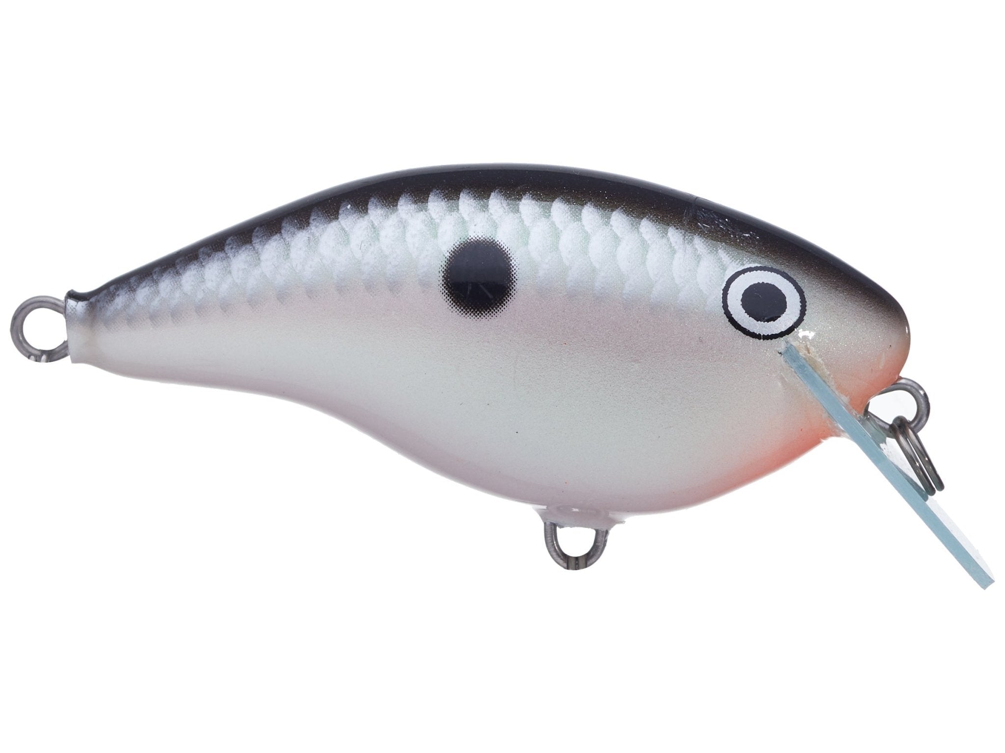 Rapala Ott's Garage OG Rocco 5 Crankbait - Hamilton Bait and Tackle