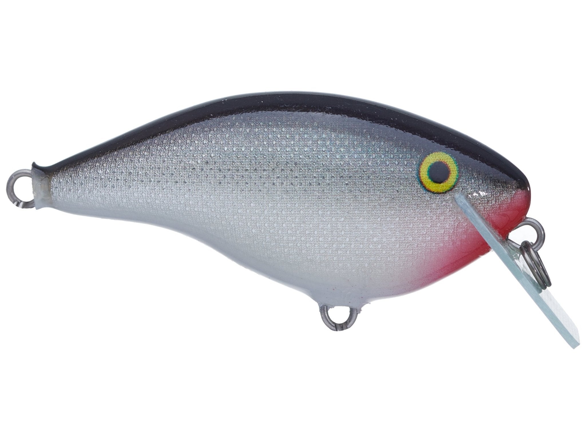 Rapala Ott's Garage OG Rocco 5 Crankbait - Hamilton Bait and Tackle