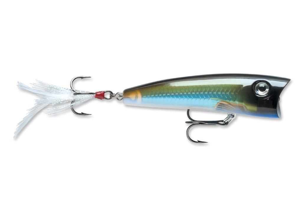 Rapala X-Rap Pop - Size 07 - Hamilton Bait and Tackle