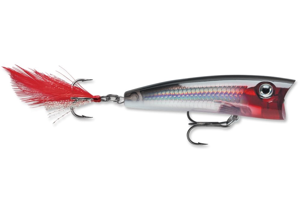 Rapala X-Rap Pop - Size 07 - Hamilton Bait and Tackle