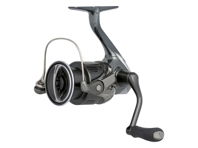 Shimano Stella Spinning Reel - Hamilton Bait and Tackle