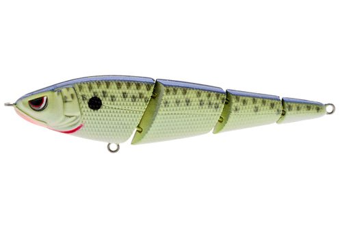 SPRO Sashimmy Swimmer 105 - Hamilton Bait and Tackle