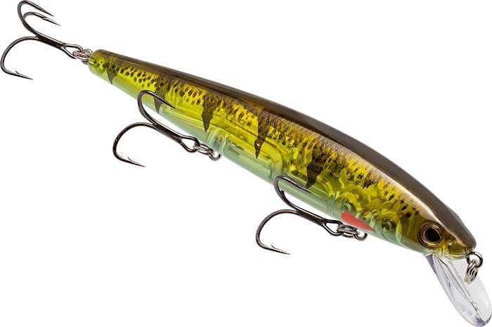 Strike King KVD Elite Jerkbait - Hamilton Bait and Tackle