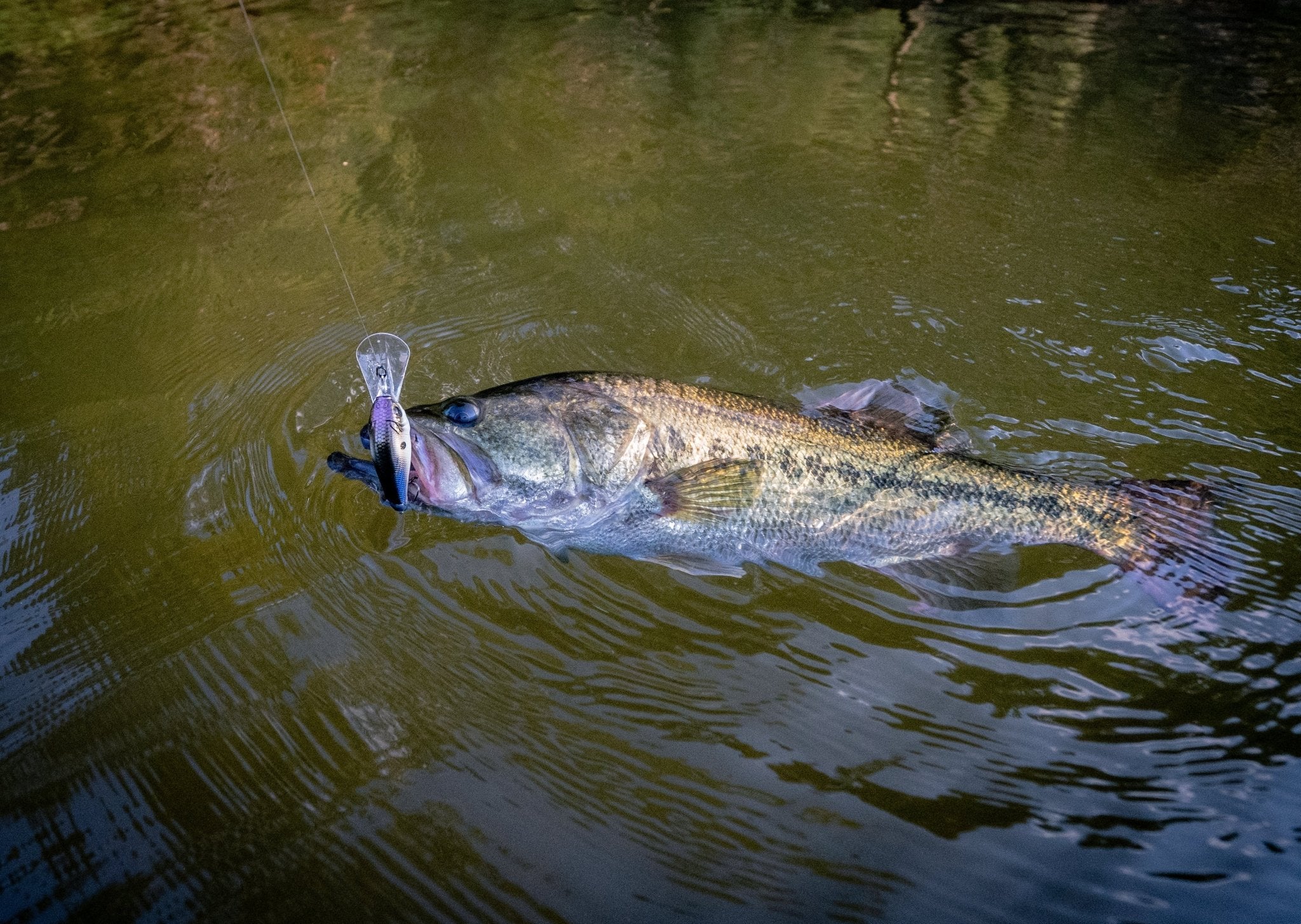 6th Sense Cloud 9 Crankbait - Hamilton Bait and Tackle