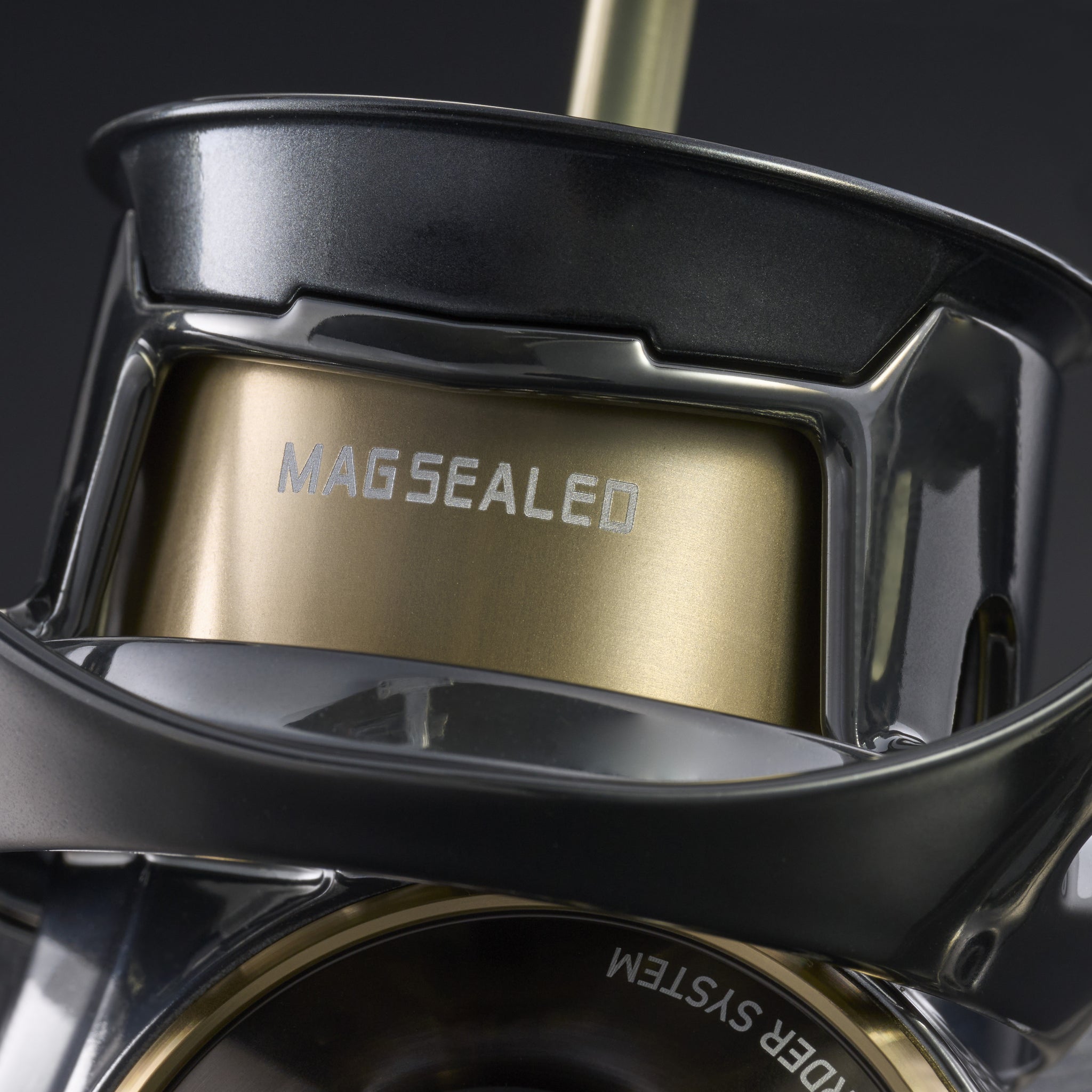 Daiwa 20th Anniversary SLP Exist