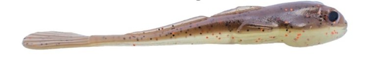 Big Joshy Swimbaits Goby 3.5" - Hamilton Bait and Tackle