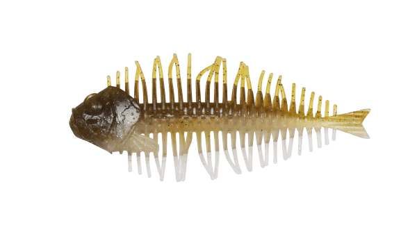 D - Style Geelacanth - Hamilton Bait and Tackle