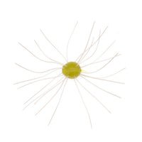 Geecrack Imo Kemushi Cue Bomb Finesse - Hamilton Bait and Tackle