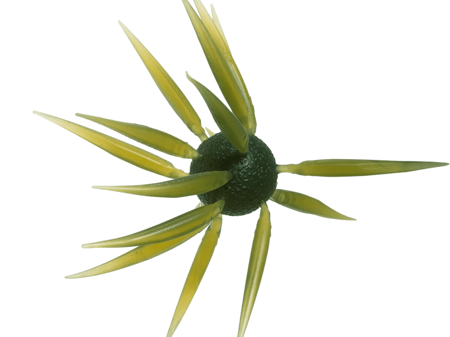 HideUp Coike Fish Elastomer L - Hamilton Bait and Tackle