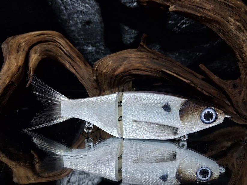KGB Swimbaits Chad Shad's - Hamilton Bait and Tackle