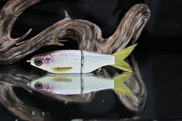 KGB Swimbaits Chad Shad's - Hamilton Bait and Tackle