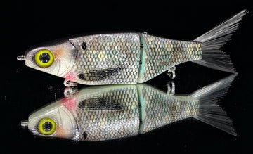 KGB Swimbaits Chad Shad's - Hamilton Bait and Tackle