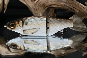 KGB Swimbaits Chad Shad's - Hamilton Bait and Tackle