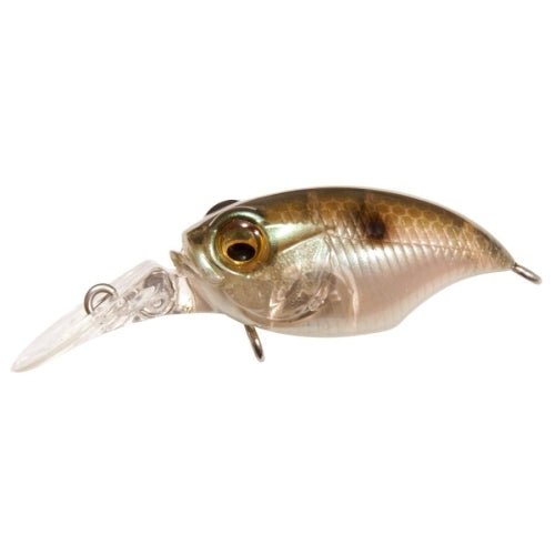 Megabass Griffon MR - X (BFS) - Hamilton Bait and Tackle