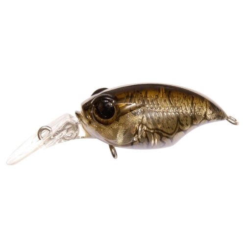 Megabass Griffon SR - X (BFS) - Hamilton Bait and Tackle
