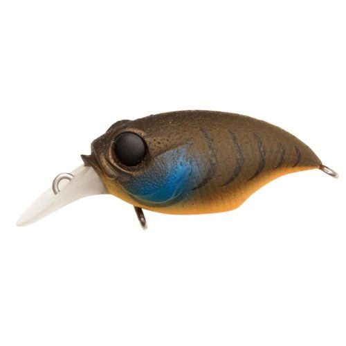Megabass Griffon SR - X (BFS) - Hamilton Bait and Tackle