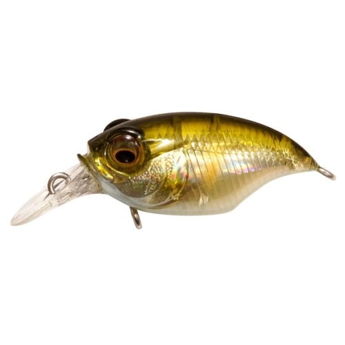 Megabass Griffon SR - X (BFS) - Hamilton Bait and Tackle