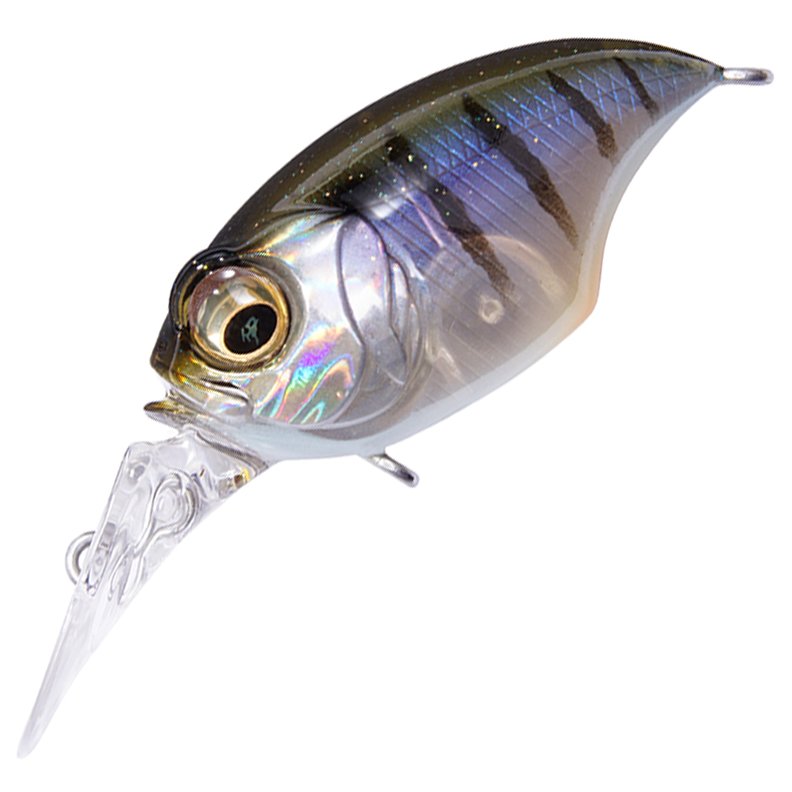 Megabass MR - X Griffon - Hamilton Bait and Tackle