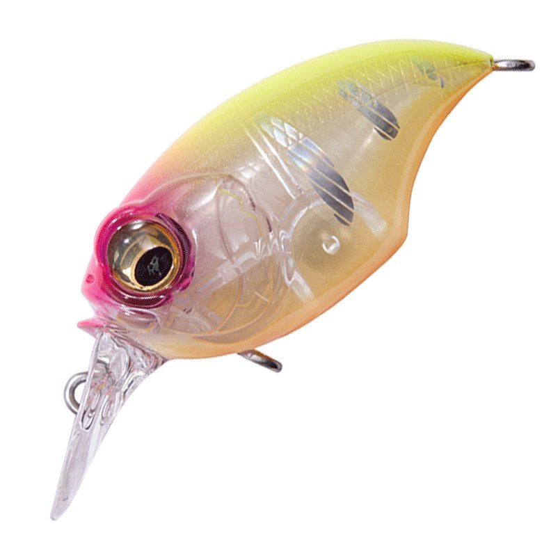 Megabass SR - X Griffon - Hamilton Bait and Tackle